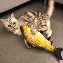 Load image into Gallery viewer, Catnip Cat toys 3D Fish