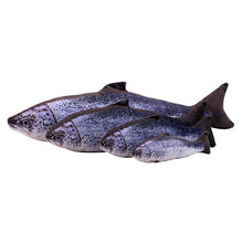 Load image into Gallery viewer, Catnip Cat toys 3D Fish