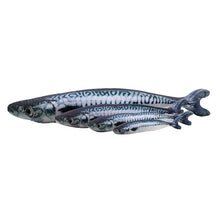 Load image into Gallery viewer, Catnip Cat toys 3D Fish