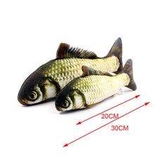 Load image into Gallery viewer, Catnip Cat toys 3D Fish