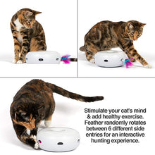 Load image into Gallery viewer, Home Run Electric Interactive Cat Feather Toy